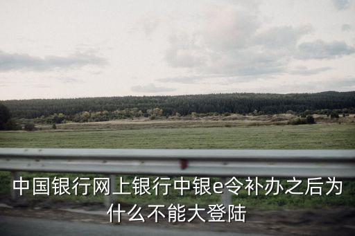 中國銀行網(wǎng)上銀行中銀e令補辦之后為什么不能大登陸