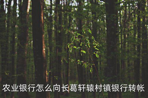 農(nóng)業(yè)銀行怎么向長(zhǎng)葛軒轅村鎮(zhèn)銀行轉(zhuǎn)帳