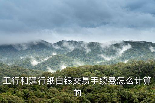 建行白銀投資手續(xù)費怎么算的，建行白銀td手續(xù)費怎么算
