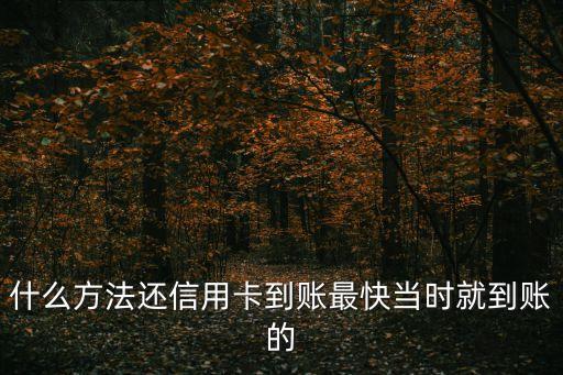 怎么還信用卡馬上到賬，什么方法還信用卡到賬最快當(dāng)時(shí)就到賬的