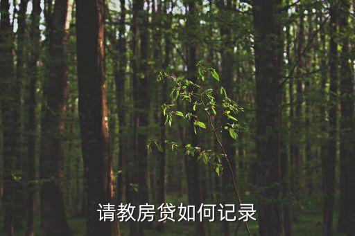 請教房貸如何記錄