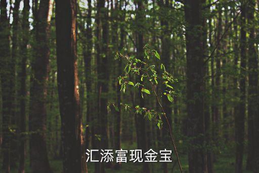 匯添富現(xiàn)金寶怎么樣，匯添富現(xiàn)金寶