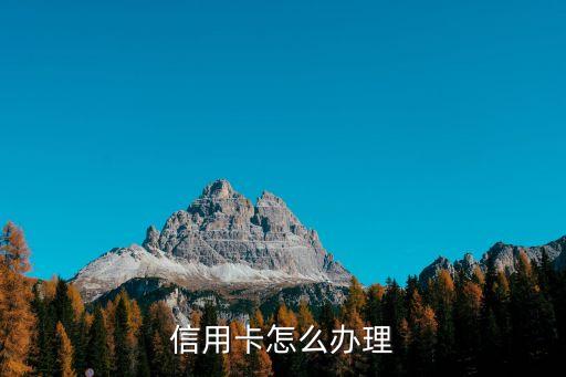 怎么預約身份證辦理信用卡，我想辦一張信用卡怎么才能辦到