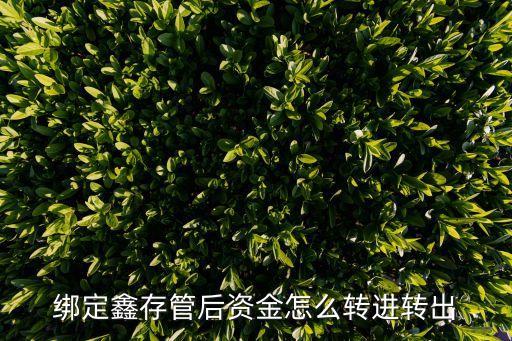 建行鑫存管保證金怎么轉(zhuǎn)賬，綁定鑫存管后資金怎么轉(zhuǎn)進轉(zhuǎn)出