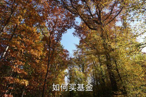 場(chǎng)內(nèi)基金怎么買，如何買基金