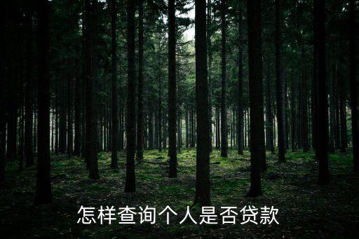 怎樣查詢(xún)個(gè)人是否貸款