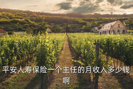 北京平安保險深資主任待遇怎么樣，平安人壽保險一個主任的月收入多少錢啊