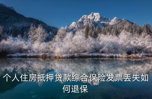 個(gè)人住房抵押貸款綜合保險(xiǎn)發(fā)票丟失如何退保