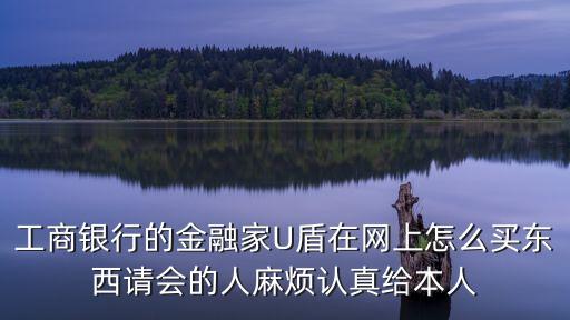 金融e家u盾怎么用，工商銀行的金融家U盾在網(wǎng)上怎么買東西請會的人麻煩認(rèn)真給本人