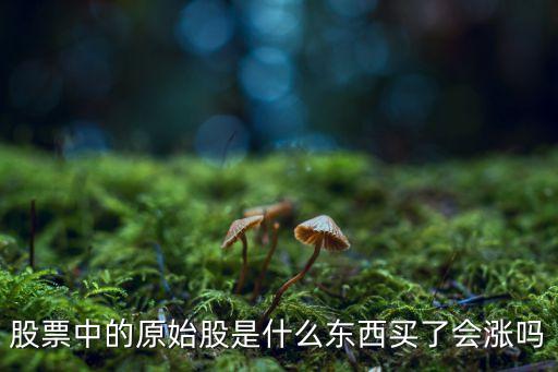 什么叫原始股 上市后會(huì)怎么樣，什么叫原始股上市后會(huì)怎樣