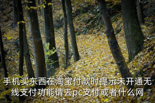 手機買東西在淘寶付款時提示未開通無線支付功能請去pc支付或者什么網(wǎng)