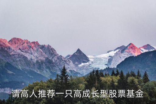 請(qǐng)高人推薦一只高成長(zhǎng)型股票基金