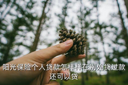陽(yáng)光保險(xiǎn)貸款怎么樣，陽(yáng)光保險(xiǎn)個(gè)人貸款怎樣樣在別處貸過(guò)款還可以貸