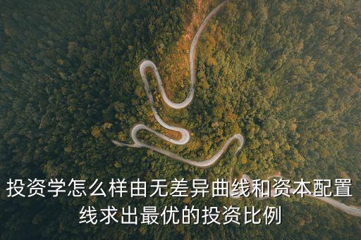 投資學(xué)怎么樣由無差異曲線和資本配置線求出最優(yōu)的投資比例