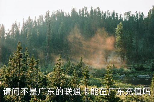 請問不是廣東的聯(lián)通卡能在廣東充值嗎