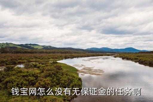 錢寶網怎么沒有無保證金的任務啊