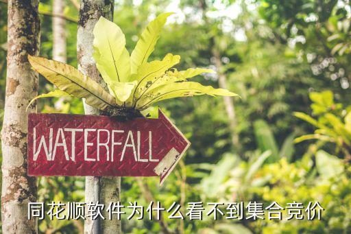 同花順集合競價(jià)怎么看，同花順的分時(shí)圖里的集合競價(jià)怎么看