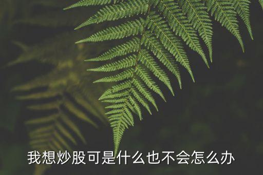 我想炒股可是什么也不會怎么辦