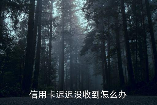信用卡還沒收到怎么辦，我辦的信用卡還沒有收到