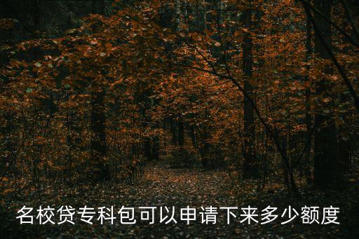名校貸?？瓢梢陨暾?qǐng)下來多少額度