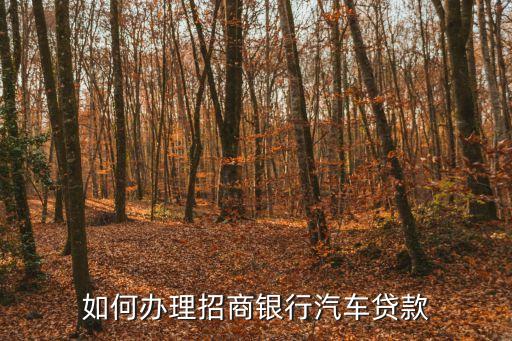 如何辦理招商銀行汽車貸款