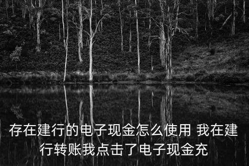 建設(shè)電子現(xiàn)金怎么消費，建行卡的電子現(xiàn)金如何使用