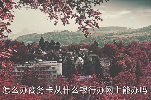 建行商務(wù)卡怎么辦理，怎么辦商務(wù)卡從什么銀行辦網(wǎng)上能辦嗎