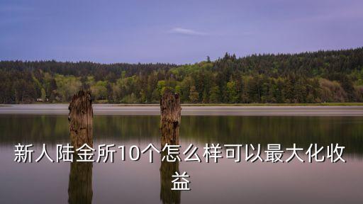 新人陸金所10個怎么樣可以最大化收益