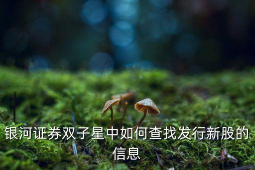 銀河證券怎么看次新股，中國(guó)銀河證券新三板怎么查