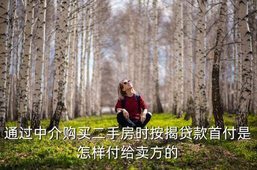 中介買房貸款怎么處理，簽了合同跟中介買房子貸款下不來怎么辦