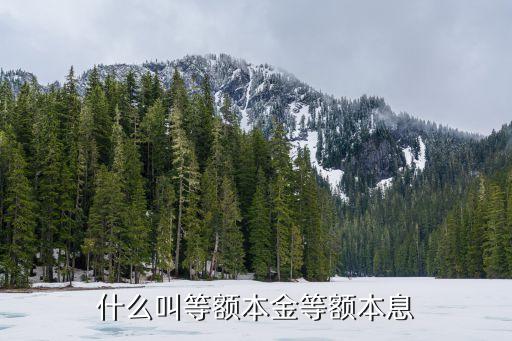 什么叫等額本金等額本息