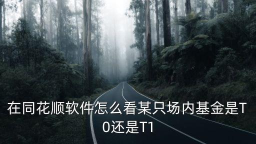 在同花順軟件怎么看某只場(chǎng)內(nèi)基金是T0還是T1