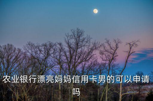 農(nóng)業(yè)銀行漂亮媽媽信用卡男的可以申請嗎