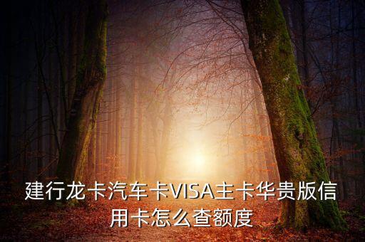 怎么看visa卡額度，建行龍卡汽車卡VISA主卡華貴版信用卡怎么查額度