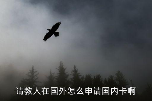請教人在國外怎么申請國內卡啊