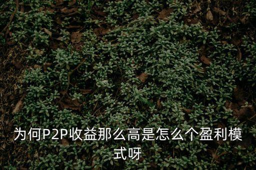 為何P2P收益那么高是怎么個盈利模式呀
