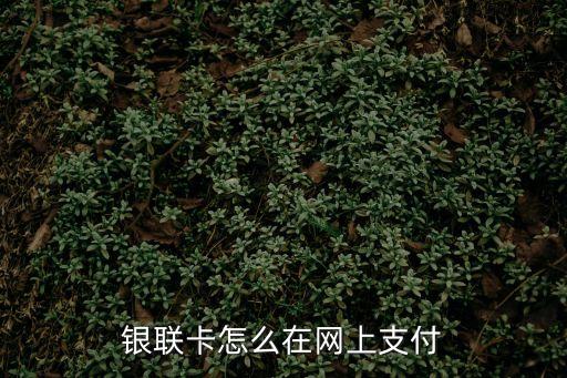 銀聯(lián)怎么在線支付，工行卡銀聯(lián)在線支付怎樣開通急求