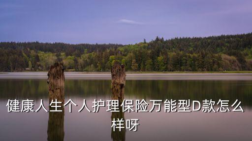 健康人生個(gè)人護(hù)理保險(xiǎn)萬能型D款怎么樣呀