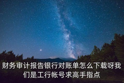 財(cái)務(wù)審計(jì)報(bào)告銀行對(duì)賬單怎么下載呀我們是工行帳號(hào)求高手指點(diǎn)