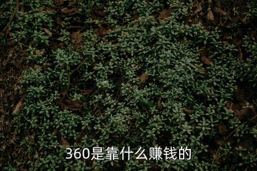 360社區(qū)怎么賺錢嗎，請問360網(wǎng)賺論壇真的能賺錢嗎