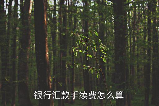 手續(xù)費005怎么算，銀行匯款手續(xù)費怎么算