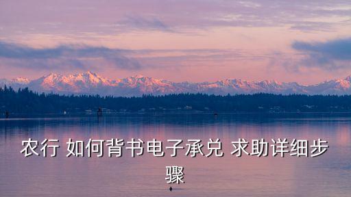 農(nóng)行 如何背書電子承兌 求助詳細步驟