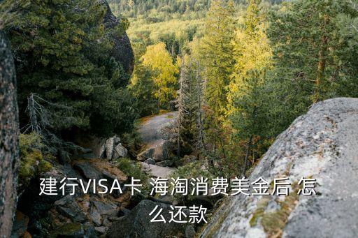建行VISA卡 海淘消費(fèi)美金后 怎么還款
