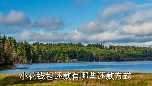 小花錢包還款有哪些還款方式