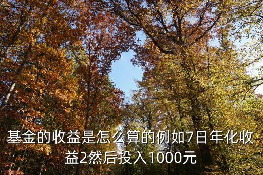 基金的收益是怎么算的例如7日年化收益2然后投入1000元