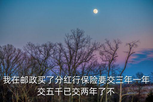 郵政保險定期三年怎么退，我在郵政儲蓄放了交三年放三年的人保壽保金年保可我想退可以