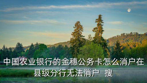 中國農(nóng)業(yè)銀行的金穗公務卡怎么消戶在縣級分行無法消戶  搜