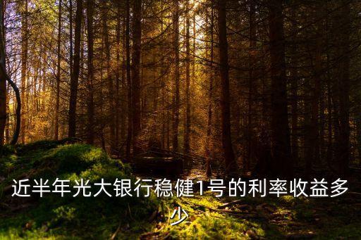 近半年光大銀行穩(wěn)健1號(hào)的利率收益多少