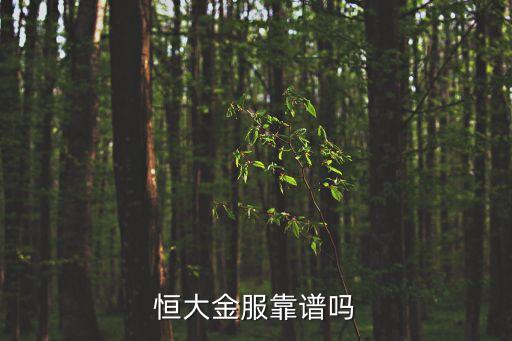 恒大金服靠譜嗎