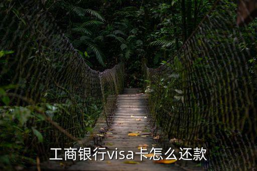 工行visa卡怎么還款，工行visa購(gòu)匯還款